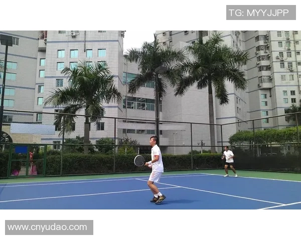 深圳网球队的蜕变之旅:从传统强队到国际舞台的崛起与挑战 深圳网球队的蜕变之旅:从传统强队到国际舞台的崛起与挑战