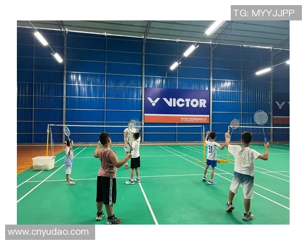 羽毛球盛宴：深入武汉羽毛球队的团队协作与默契之道