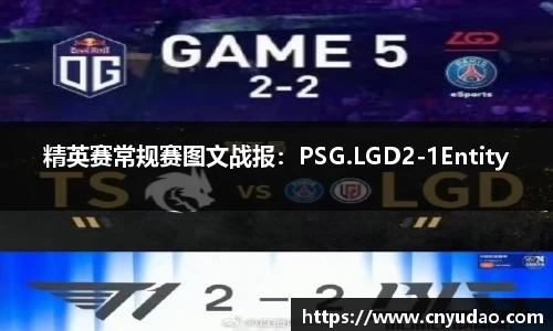 精英赛常规赛图文战报：PSG.LGD2-1Entity