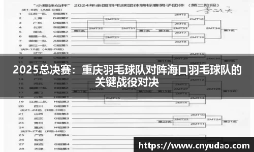 2025总决赛：重庆羽毛球队对阵海口羽毛球队的关键战役对决